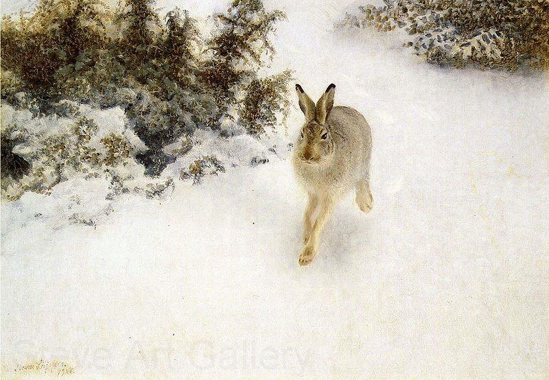 bruno liljefors Winter Hare Norge oil painting art
